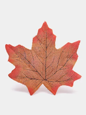 Осенние листья для оформления школьной доски или группы детского сада на 1  сентября