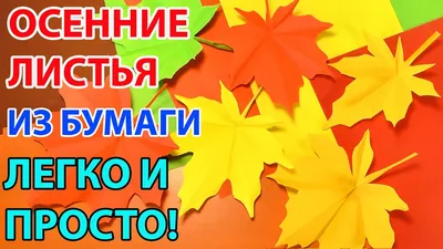 Как засушить осенние листья для поделок или сохранить иным способом для  творчества? | Учитель первый твой | Дзен