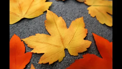 ОСЕННИЕ ЛИСТЬЯ ИЗ БУМАГИ оригами СУПЕР ЛЕГКИЙ СПОСОБ Autumn leaves ORIGAMI  - YouTube