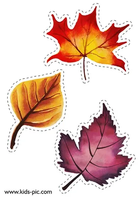 [88+] Картинки осенних листьев для вырезания обои