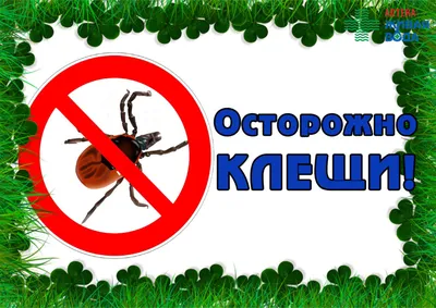 сайт школы 18 г. Гуково - Осторожно – клещи! Памятка для детей и взрослых