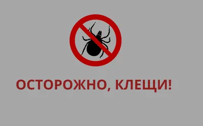 Осторожно КЛЕЩ! – СПб ГБУЗ Городская поликлиника № 96 Калининский район,  пр. Просвещения, дом 53, корпус 2