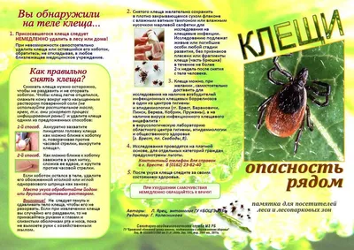 Осторожно : клещи!