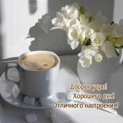 Доброе утро, друзья! ☕ Хорошего дня, отличного настроения!!! | Кафе  \"Счастливый День\", кафе \"Гостиный Двор\" | ВКонтакте