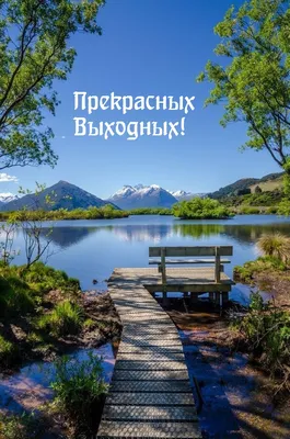 Хороших выходных🌸🙏 | Открытки Тедди | ВКонтакте