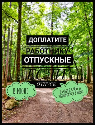 Отпуск: истории из жизни, советы, новости, юмор и картинки — Все посты |  Пикабу