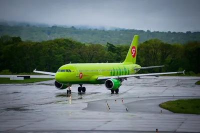 S7 Airlines и Stereotactic создали рекламную кампанию направлений зимнего  отдыха