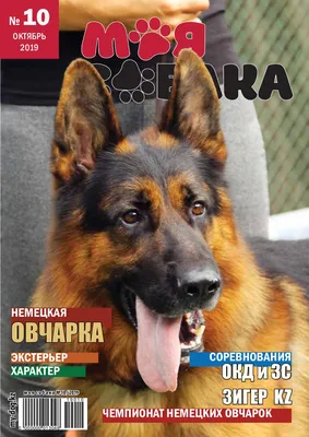 Royal Canin корм для немецких овчарок, 11 кг