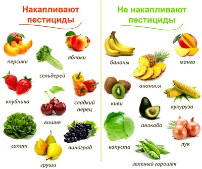 Веселые фрукты и овощи картинки для детей: 9 тыс изображений найдено в  Яндекс.Картинках | Meyve, Yastıklar