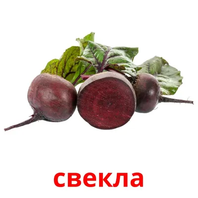 29 FREE Vegetables Flashcards | PDF | Russian Words