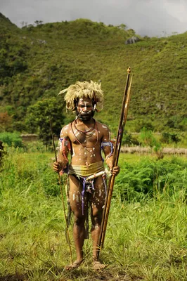 Папуасы из Новой Гвинеи. Обсуждение на LiveInternet - Российский Сервис  Онлайн-Дневников