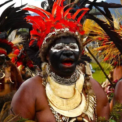 Папуасы: кого правильно так называть и причём тут денисовские люди? |  ЭтноФил | Дзен