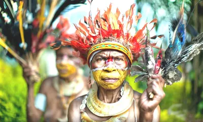 Экономика папуасов – этнограф Андрей Туторский | Меланезия | Научпоп -  YouTube