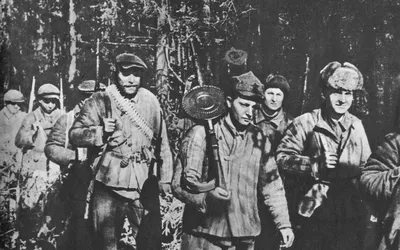 Воздушный мост: как в 1943 году планеры спасли партизан Беларуси -  Российская газета