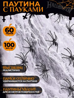 Паутина с пауком рисунок - 66 фото