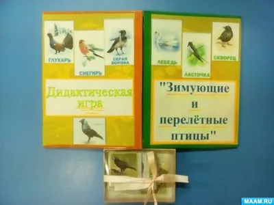 Птицы, зимующие в Воронежской области