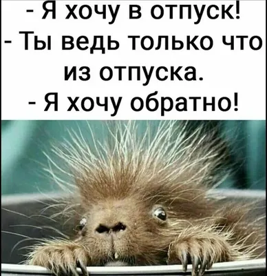 УПАКОВКА ДЛЯ ЦВЕТОВ on Instagram: \"Вот так выглядит первый день после  отпуска😂 Диануся, мы тоже скучали ❤️\"