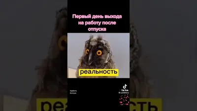 первый день после отпуска медик прикол｜Búsqueda de TikTok