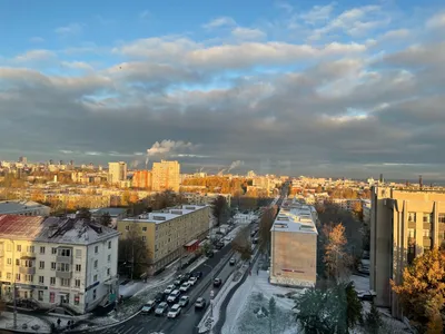 Петрозаводск вошел в ТОП-10 самых матерящихся городов России | 27.10.2023 |  Новости Петрозаводска - БезФормата