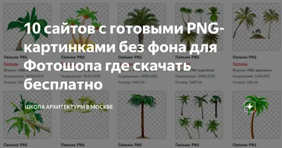 Зеленое яблоко без фона - Png (пнг) картинки и иконки без фона