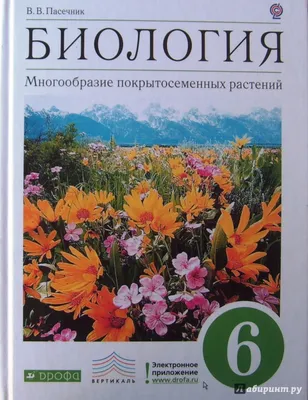 Биология. 6 класс. Сборник контрольных и самостоятельных работ. Аверсэв