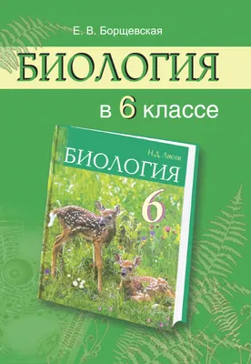 РАБОЧАЯ ТЕТРАДЬ ПО БИОЛОГИИ.6КЛАСС Экзамен 18484801 купить в  интернет-магазине Wildberries