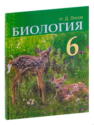 Биология. 6 класс, В. И. Сивоглазов – скачать pdf на ЛитРес