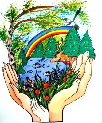 В Краснодаре издана уникальная книга для детей \"Экологические сказки\" |  Русское географическое общество