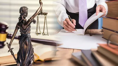 Как выбрать нужное направление в юриспруденции | ВЭПИ | Дзен
