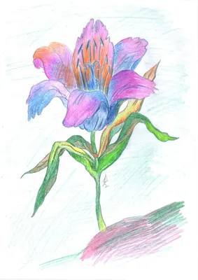 Рисунок к сказке неизвестный цветок - 78 фото