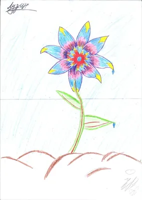 Неизвестный цветок рисунок карандашом - 84 фото