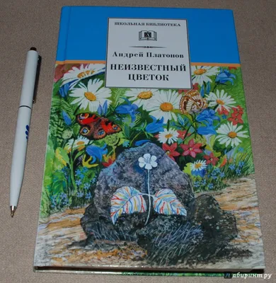 Неизвестный цветок - Платонов Андрей Платонович - Издательство Альфа-книга