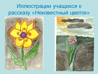 Рисунок К Рассказу Цветок На Земле (53 Фото)