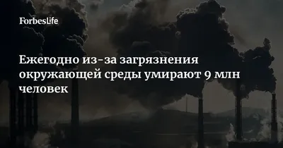 В ООН опасаются химического загрязнения окружающей среды Бейрута и его  окрестностей | Новости ООН