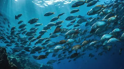 Подводный мир и разнообразие рыб | Обои для телефона