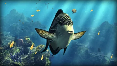 Бегемот под водой с рыбами Stock Photo | Adobe Stock