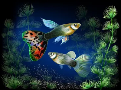 Жизнь золотой рыбки на дне океана» — создано в Шедевруме