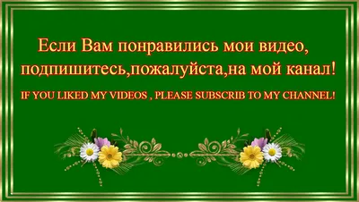 дорогие друзья прошу вас подписаться на мой канал ведь обратная связь очень  важна для канала | 🦁Безумная Львица 🦁 ( прайда ✓ | Дзен