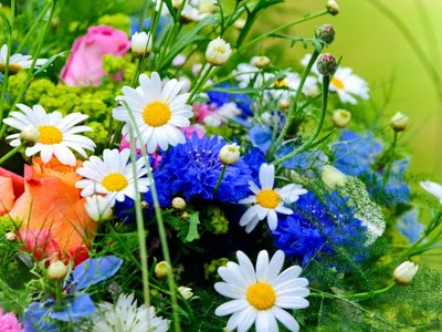 Пазл букет полевых цветов - разгадать онлайн из раздела \"Цветы\" бесплатно
