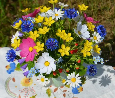 Мастер – класс букет из полевых цветов «Полевые цветы» - Культурный мир  Башкортостана