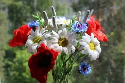 Букет полевых цветов в вазе. …» — создано в Шедевруме