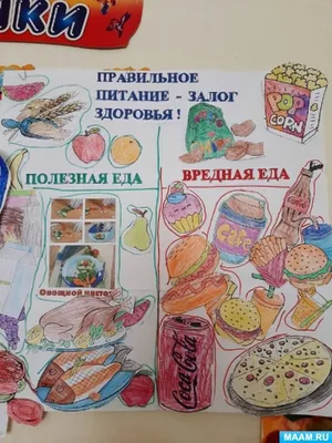 Правильное питание – Новодвинская гимназия