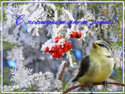 Изящные открытки и поздравления с Последним днем зимы 28 февраля