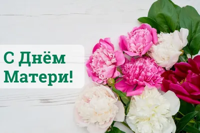 Поздравление ректора ко Дню матери – Белорусский национальный технический  университет (БНТУ/BNTU)