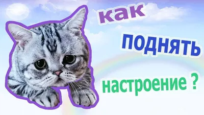 Как поднять себе настроение – 10 быстрых способов