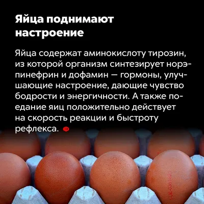 Иллюстрация 21 из 32 для Крепкий сон. Как улучшить работу мозга, похудеть,  поднять настроение,уменьшить стресс и хорошо спать - Майкл Мосли | Лабиринт  - книги. Источник: С Александра