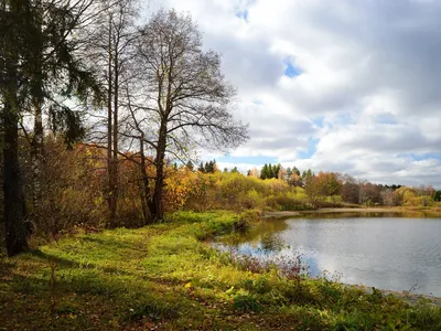 Раннее утро поздней осени / фото