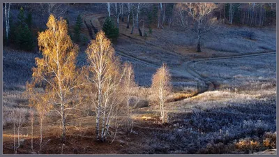 🍂🍁 пейзаж поздней осенью, снег, …» — создано в Шедевруме