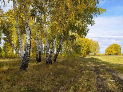 Красота поздней осени | Пикабу