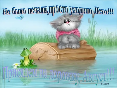 Поздравления с началом августа: первым днем августа ~ Поздравинский -  агрегатор поздравлений для всех праздников